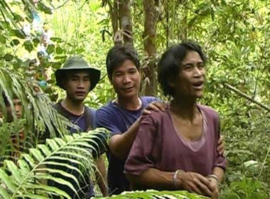 Được biết trong số 4 người con của ông Thanh, ngoài hai người con đã mất và ông Lang được cha mang theo vào rừng sâu sống, hiện còn 1 người con của ông Thanh đang sống tại Trà Phong, Tây Trà.