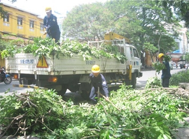 Công nhân Công ty Công viên cây xanh dọn dẹp cây ngã đổ do mữa giông