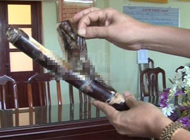 Thuốc phiện được cất giấu tinh vi trong khúc mía khoét ruột