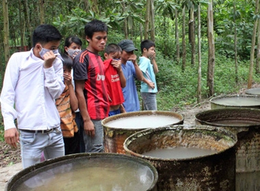 Những thùng đựng hóa chất thuốc trừ sâu chưa sang chiết, đóng gói nằm trong khuôn viên Công ty cổ phần Nicotex Thanh Thái 