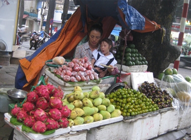 Nơi mưu sinh của 