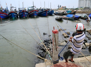 Hàng nghìn tàu thuyền ở Đà Nẵng, Việt Nam, đã vào các âu thuyền tránh bão. Ảnh: Nguyễn Đông