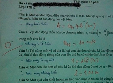 Ảnh chụp bài kiểm tra bị điểm 0 gây xôn xao dân mạng.