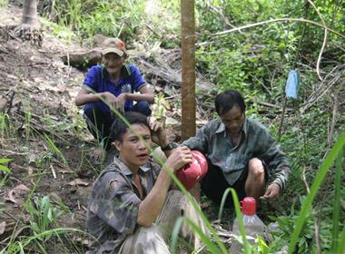 Sau khi được hướng dẫn, cha con ông Thanh trồng khá thành thạo