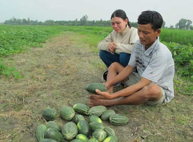 Vợ chồng anh Võ Văn Sơn ngồi thất thần trước ruộng dưa “lạ” của mình