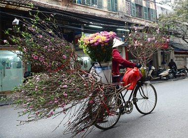 Những gánh hoa xuân với những cành đào đỏ thắm đã dần xuất hiện trên các ngõ phố của Thủ đô.