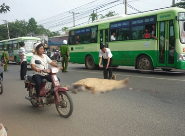 Hiện trường vụ người đàn đàn ông được cho là đã lao vào xe tải