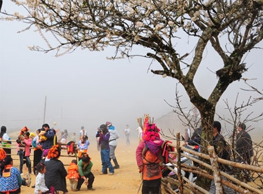 Mùa xuân trên Tây Bắc