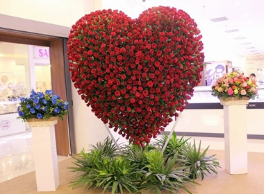 Trái tim được kết bằng hoa hồng Ecuador size to