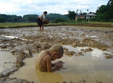 Bức ảnh 'chờ mẹ'