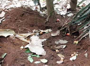 Cổ nạn nhân bị buộc bằng một sợi dây chuối, trên cơ thể dính nhiều bụi, đất khô và cỏ, rác.  (Ảnh minh họa)