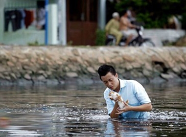 Vũ Ngọc Đãng khẳng định thông tin 4 chú mèo con chết thảm là hoàn toàn sai sự thật