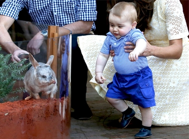 Hoàng tử Prince George thích thú thăm vườn thú Sydney