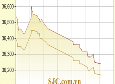 Biến động giá vàng SJC 1 tuần qua.