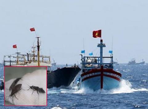 Những hình ảnh nóng nhất 24h qua