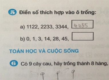 Bài toán đố lớp 3 khiến người lớn đau đầu