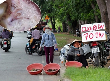 Cảnh báo hải sản 'lạ' giá rẻ đổ bộ 'tra tấn' người tiêu dùng