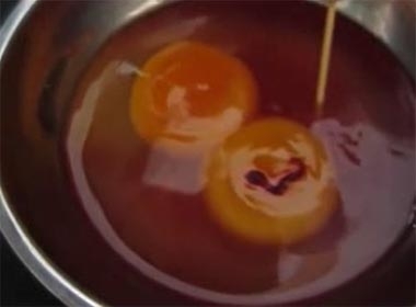 Video phát hiện sinh vật lạ trong lòng đỏ trứng