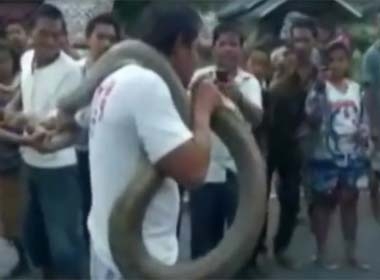 Video Sốc: Tay không bắt rắn hổ mang chúa khổng lồ