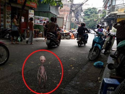Hoang mang 'người ngoài hành tinh' vừa ghé thăm Hà Nội?