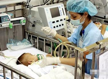 Sự thật về dịch viêm não Nhật Bản ở Sơn La