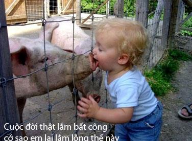 Đôrêmon chế: Khi Nô làm thơ