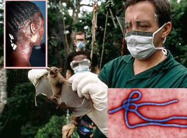 Ám ảnh bởi sự tàn phá của dich Ebola