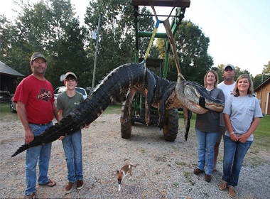 Một gia đình ở bang  Alabama đã bắt được con cá sấu lớn nhất thế giới
