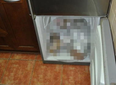 Bố mẹ nhốt đứa con tàn tật  vào tủ lạnh cho đến chết (ảnh minh họa)