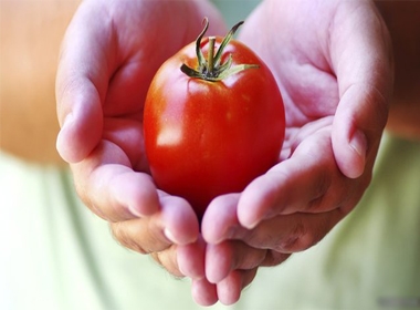 Cà chua có thể phòng chống ung thư tuyến tiền liệt ở nam giới