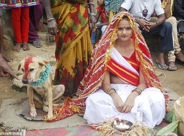 Ấn Độ: Thiếu nữ 18 tuổi kết hôn với… chó
