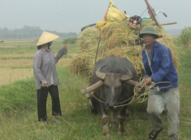 Bố mẹ tiết lộ lý do Công Phượng bị loại khỏi lò SLNA 