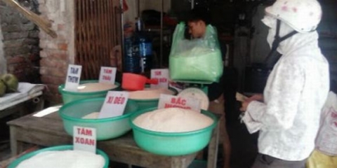 Những bí mật sau tin 'gạo ướp thuốc' tràn ngập trên thị trường