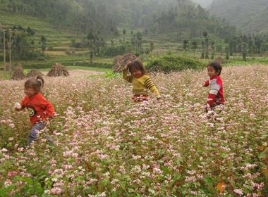 Dải đất hình chữ S của chúng ta được cộng điểm ở cảnh đẹp, thức ăn ngon và chi phí dịch vụ thấp