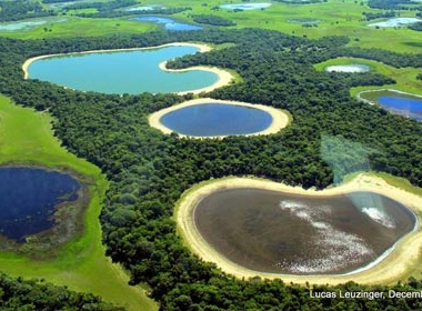 Chiêm ngưỡng vẻ đẹp đầm lầy nước ngọt lớn nhất thế giới