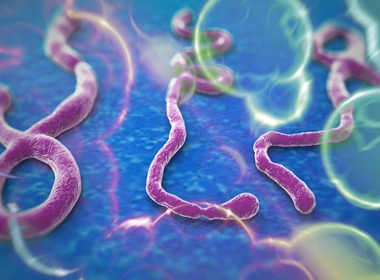 Congo tuyên bố hết dịch Ebola