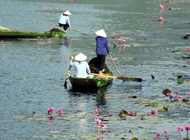 'Nghề' làm dâu không có… nghỉ hưu