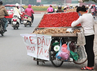 Còn hơn 1 tháng nữa mới vào chính vụ nhưng dâu tây được quảng cáo ở Đà Lạt đã tràn Hà Nội