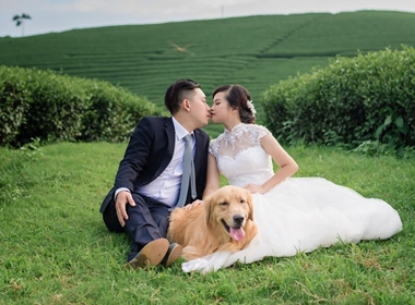 Cặp đôi chụp ảnh cưới với chó đội lốt sư tử