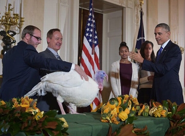Ông Obama chủ trì lễ ân xá gà tây tại Nhà Trắng
