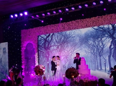 Vợ chồng Lam Trường khiêu vũ trên nền giọng hát của Mr.Đàm 