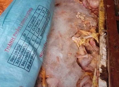 Phát hiện cơ sở sản xuất thịt gà thối ở Đồng Nai