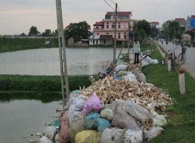 Giải mã căn bệnh trâu 'báo oán' ở làng 'đồ tể' (Ảnh minh họa)