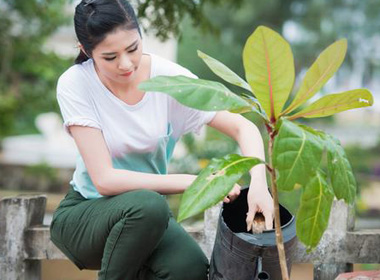 Ngọc Hân tưới cây bảo vệ môi trường biển đảo tại Lý Sơn