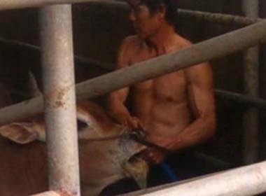 Đồng Nai sẽ 'khai tử' 60 lò giết mổ gia súc