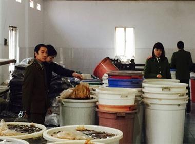 Cơ quan chức năng kiểm tra cơ sở sản xuất ô mai tại Thanh Oai, Hà Nội