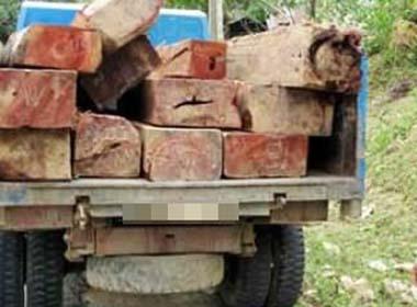 Lâm tặc lái xe tải đâm chết kiểm lâm