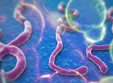 Virus Ebola quay trở lại châu Âu