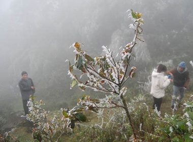 Tin thời tiết ngày 30/12: Bắc Bộ trời rét, Nam Bộ mưa rào