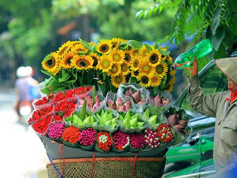 Hà Nội đẹp lạ qua 12 mùa hoa, 12 màu sắc khác nhau 